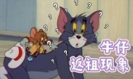 范哥爆料老鼠是真的吗视频,老鼠视频真相揭秘