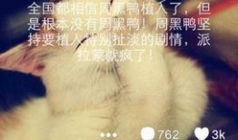 微博最新爆料周黑鸭视频,揭秘食品加工内幕，网友热议食品安全问题